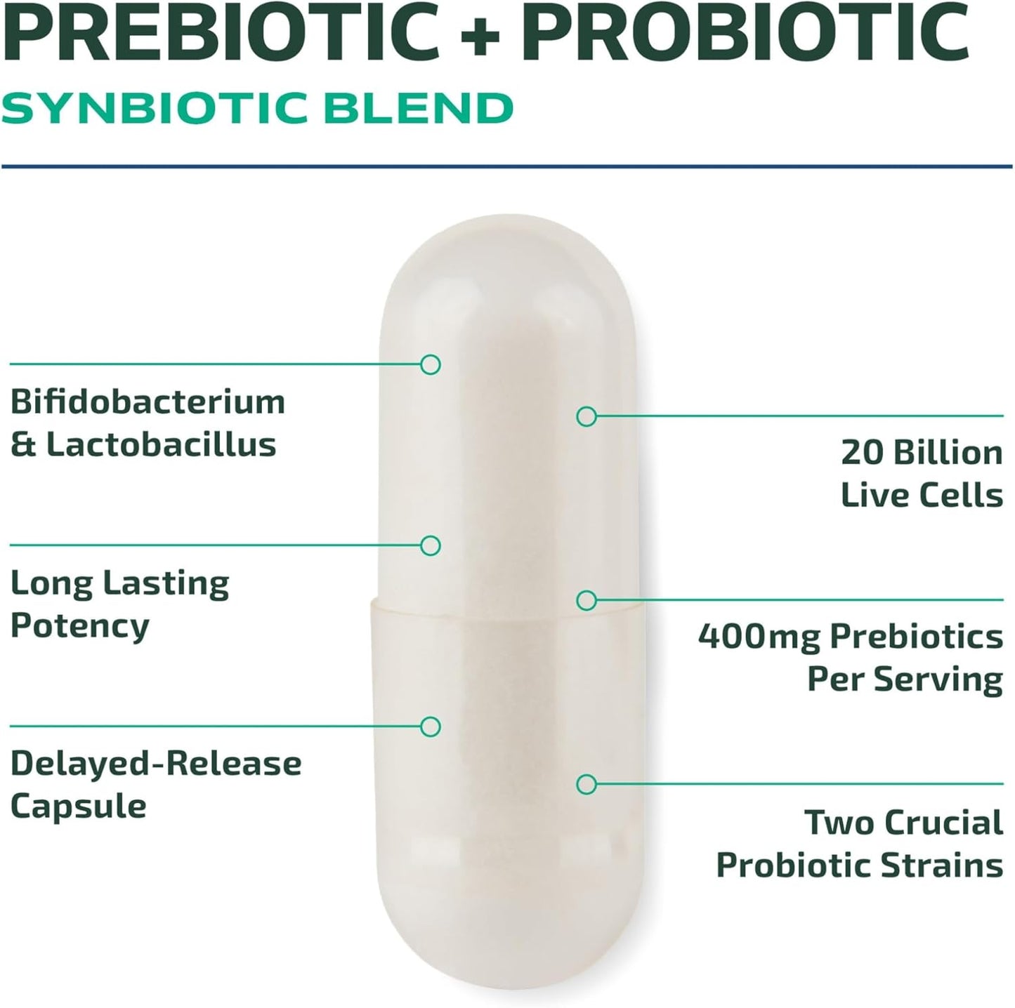 Probiotic and Prebiotic Capsules | Synbiotic Gut Health & Bloating Support for Women & Men | Enzymes with Pre and Probiotics for Gut Health Supplements | 20 Billion CFU | Non-GMO, Vegetarian | 60 Ct