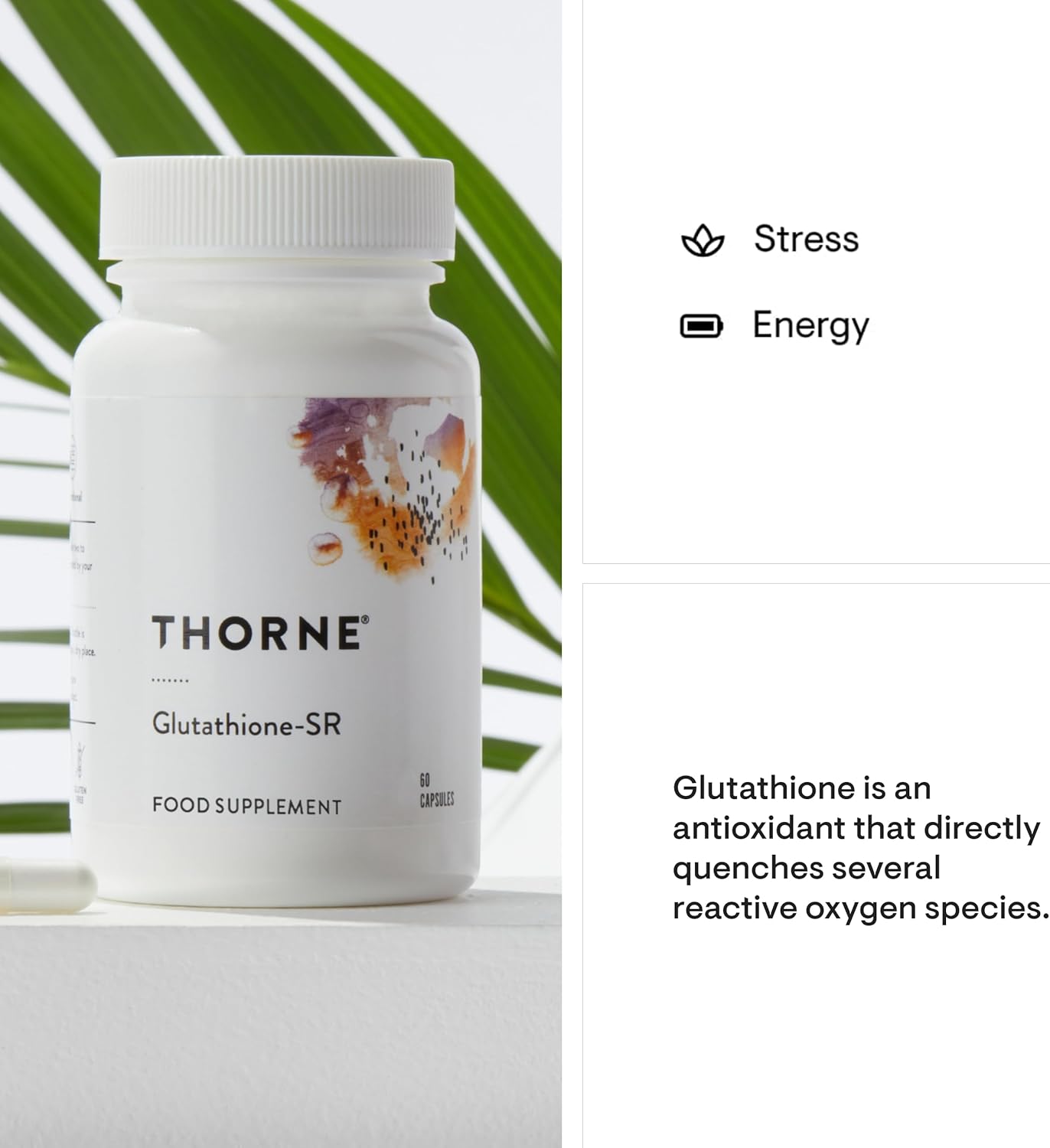 Thorne Glutathione-SR - Sustained-Release Supplement - 60 Capsules