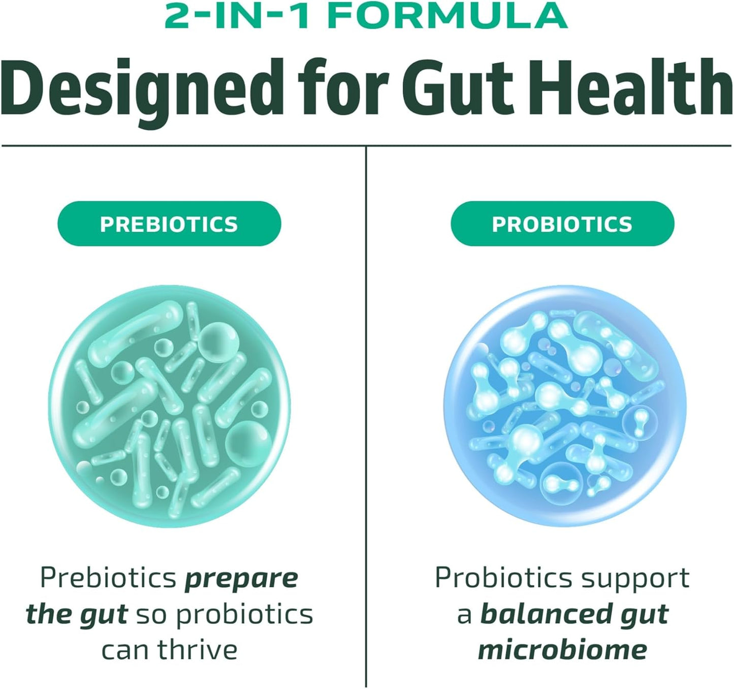 Probiotic and Prebiotic Capsules | Synbiotic Gut Health & Bloating Support for Women & Men | Enzymes with Pre and Probiotics for Gut Health Supplements | 20 Billion CFU | Non-GMO, Vegetarian | 60 Ct