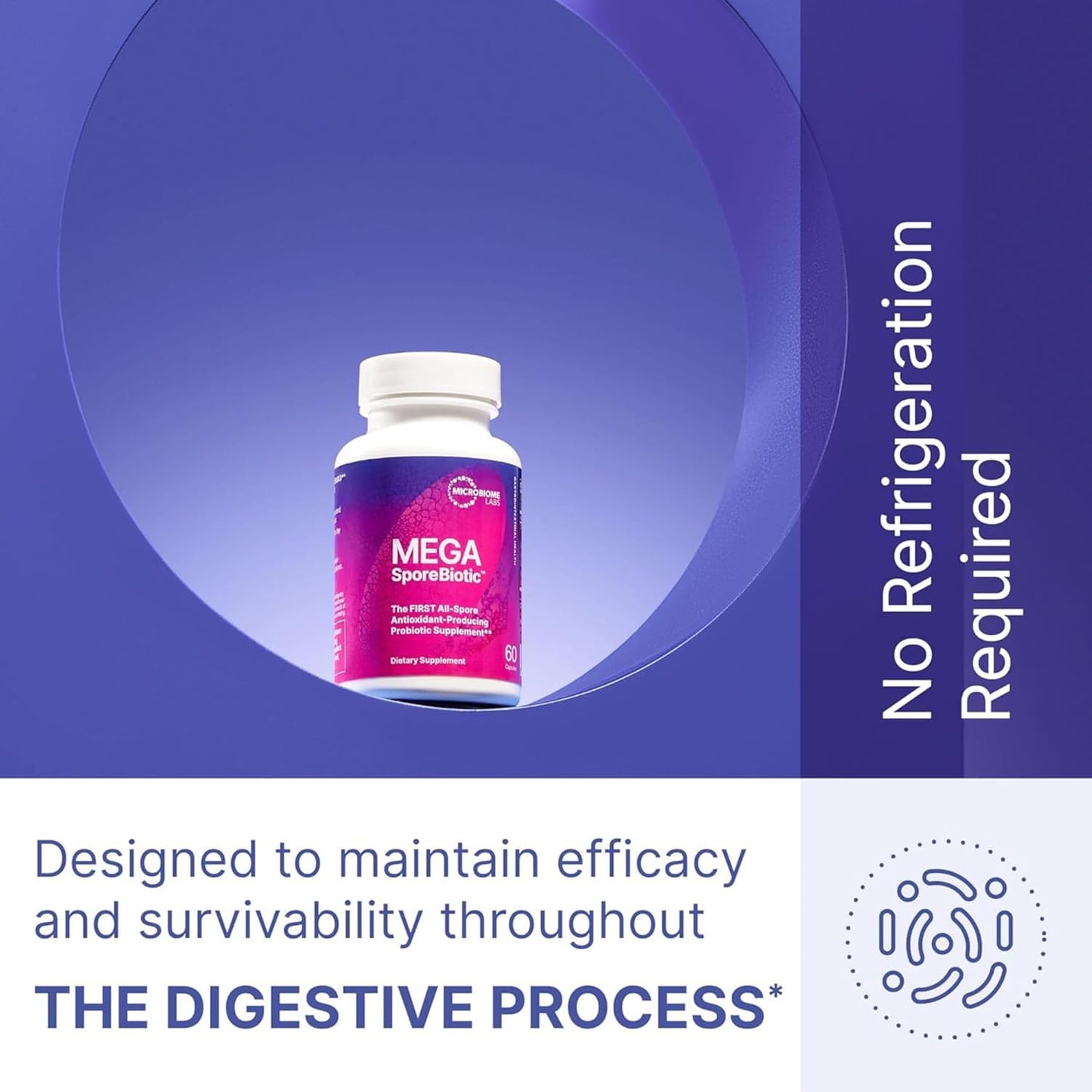 Microbiome Labs MegaSporeBiotic Plus with Antioxidants - Spore Based Probiotic, Active Bacteria Daily Supplement for Men & Women, 4 Bacillus Strains for Gut Health - Vegan Probiotics (60 Capsules)